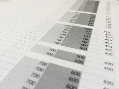 Excel spreadsheet print out