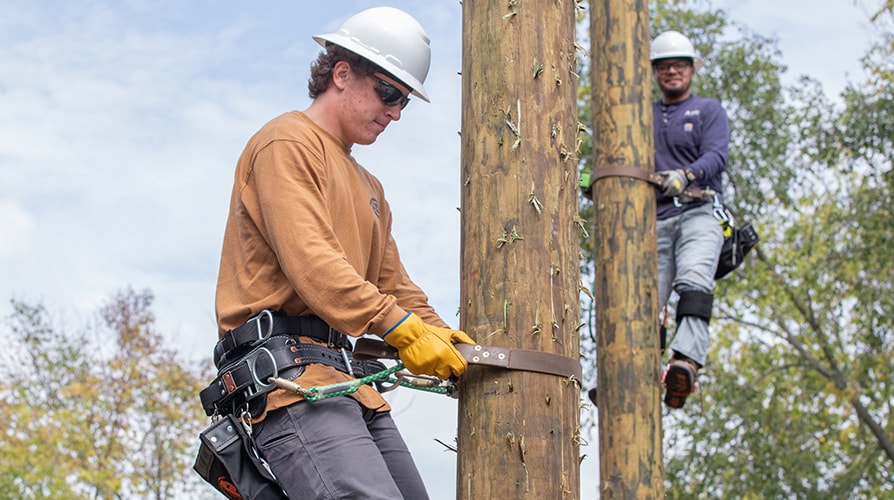Electric Power Distribution students practicing on power poles