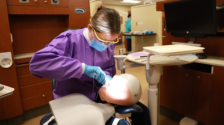 Dental Assistant student