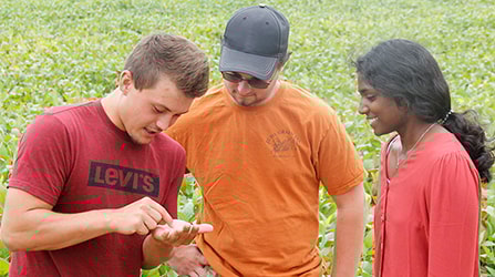 Students in a field looking closely at seeds in one student's hand
