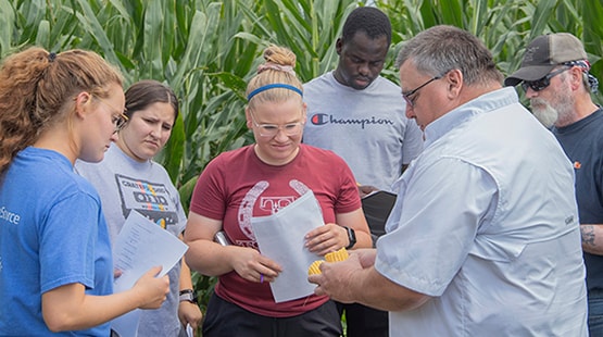 Agriculture students working in the field