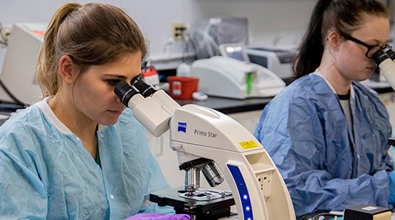 Medical Laboratory Technician