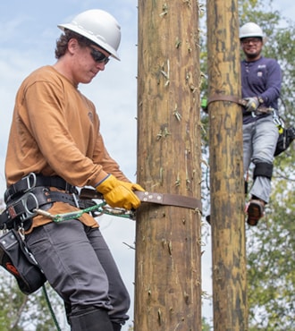 Electric Power Distribution