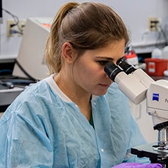Medical Laboratory Technician